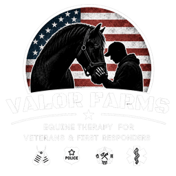Valor Farms — Equine Therapy for Veterans & First Responders